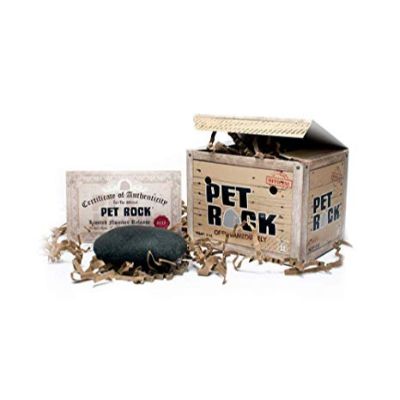 pet rock kit; includes rock, certificate or ownership, and housing